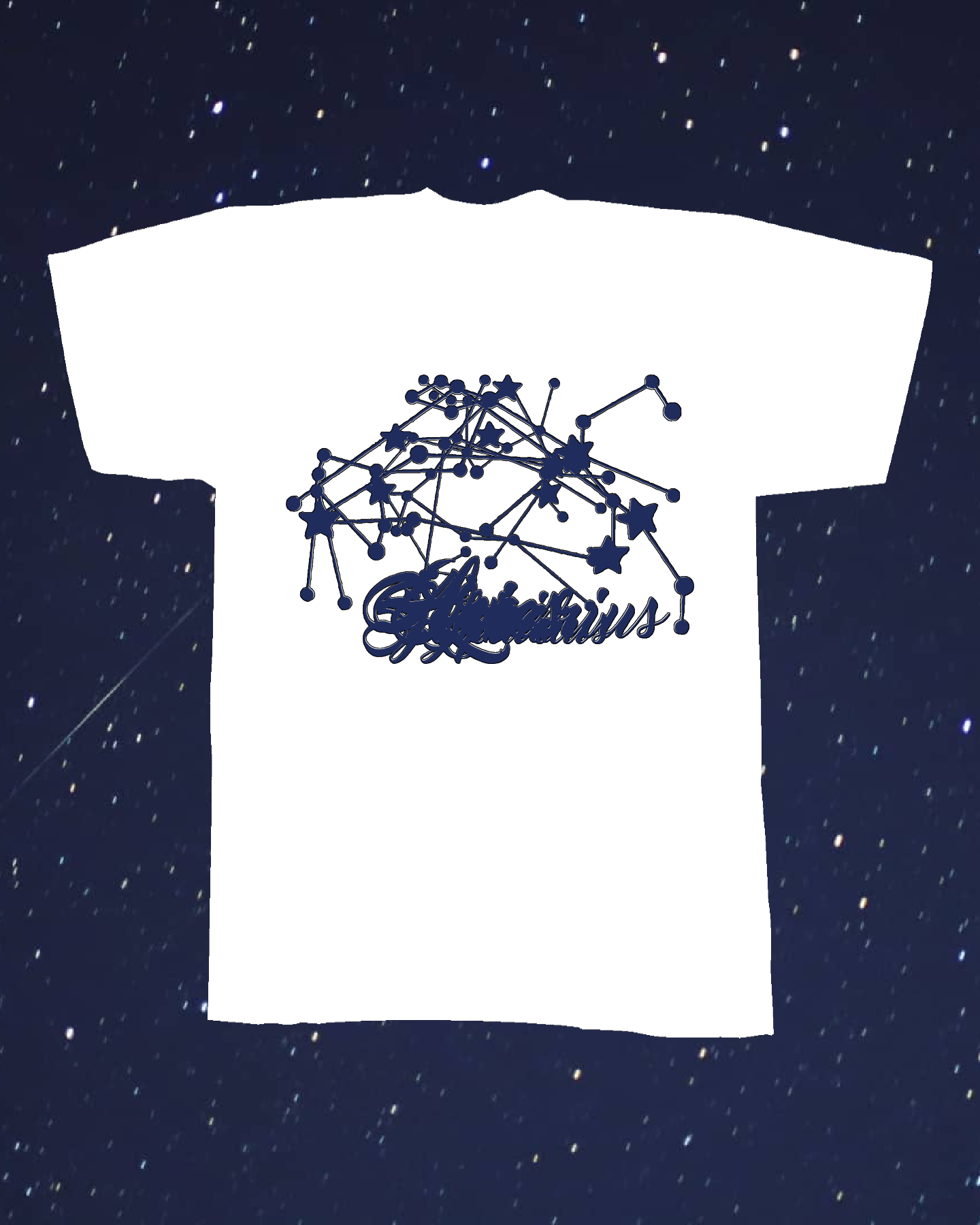 tee for Sixth Garden Records