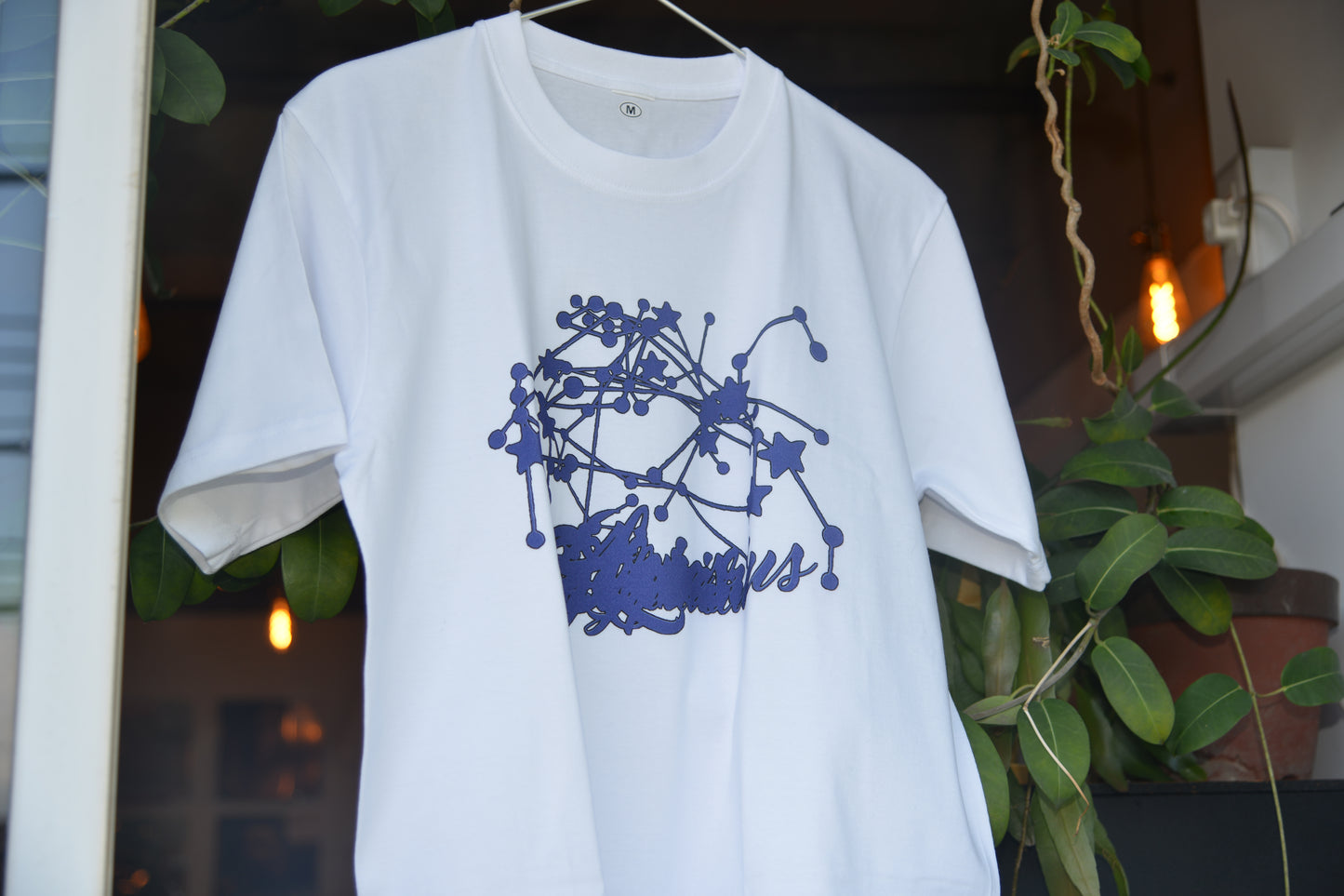 tee for Sixth Garden Records