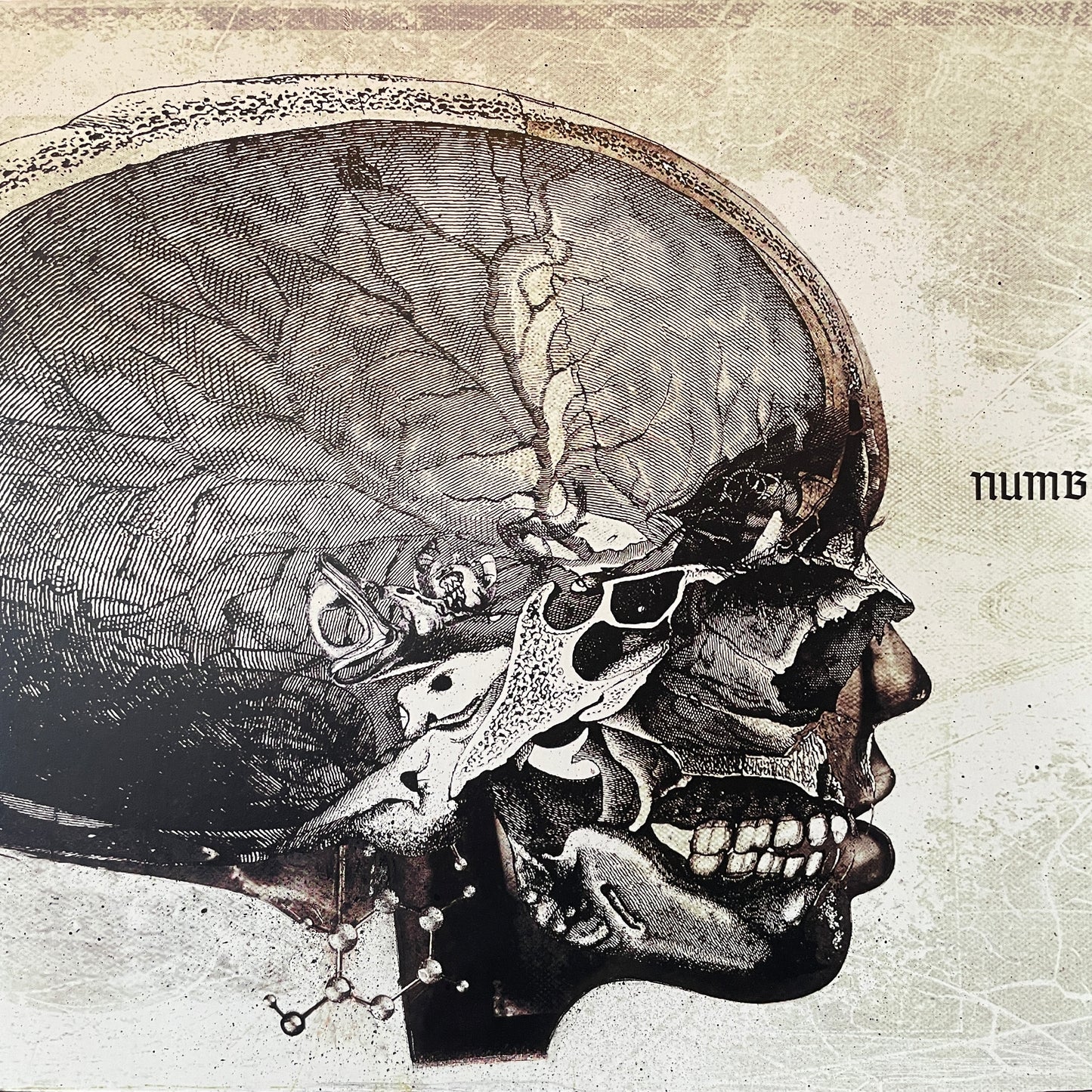 Numb – 分離 Bunri / 意思 Ishi