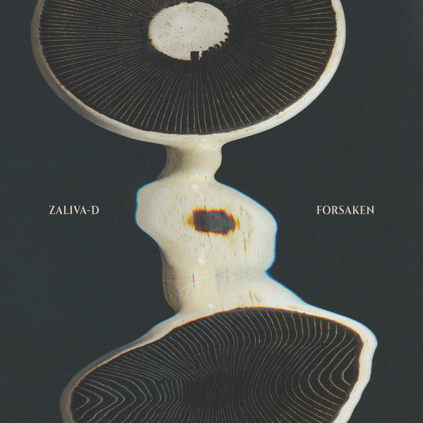 Zaliva-D – Forsaken