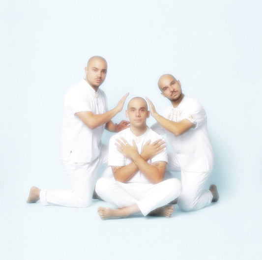 The Pilotwings – Les Charismatiques
