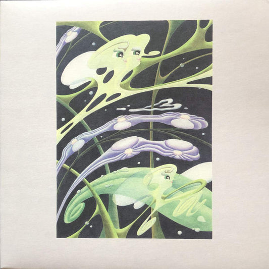 Konsudd (Konduku+Aa Sudd) – Glimmer