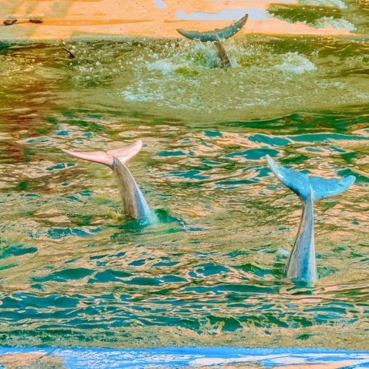 Kukangendai – Tracks (LP)