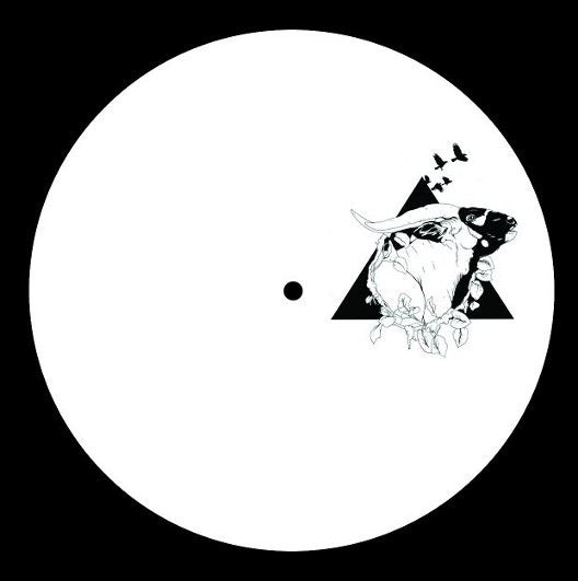 Various – Ohwl#Seven