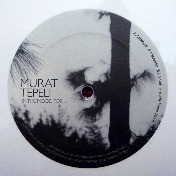 Murat Tepeli – In The Mood For ...