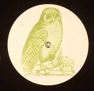Unknown Artist – Untitled