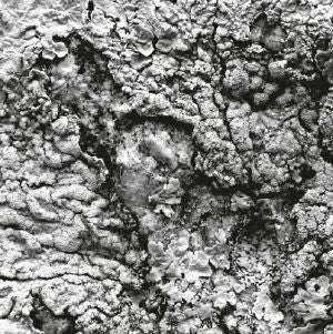 Aleks – Future Dialect EP