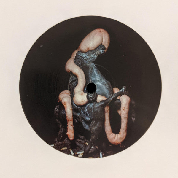 Heith & Weightausend – Stone Lizard