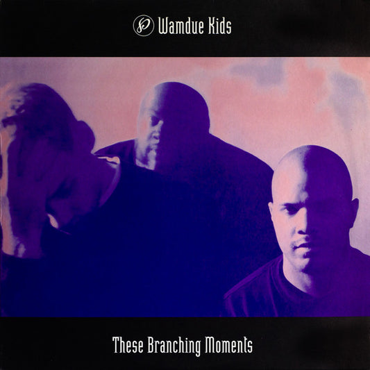 Wamdue Kids – These Branching Moments