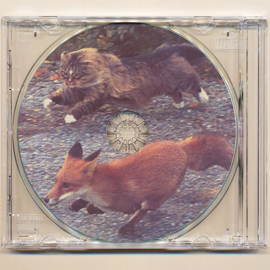 Devon Rexi meets John T. Gast – Breathstep