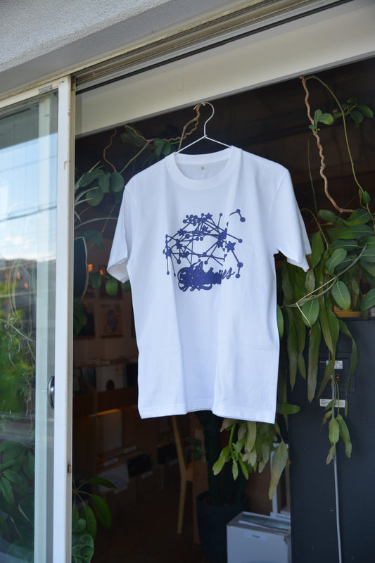 tee for Sixth Garden Records