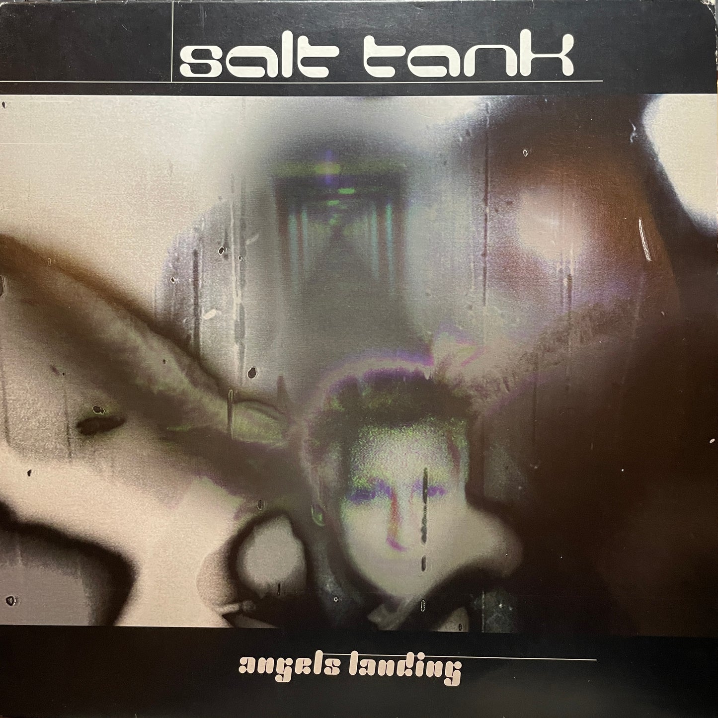 Salt Tank ‎– Angels Landing