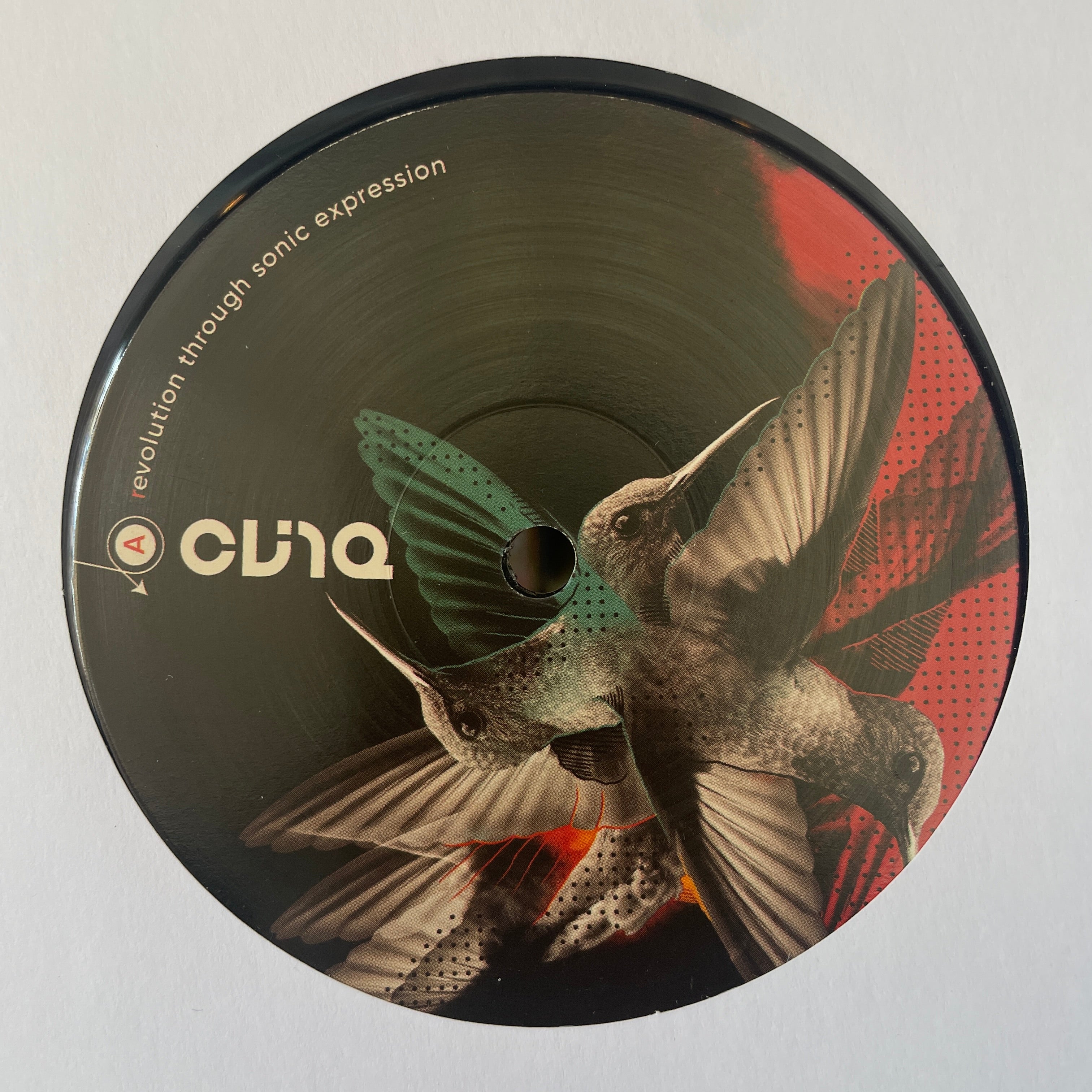 Techno / House [NEW!] – Sixth Garden Records
