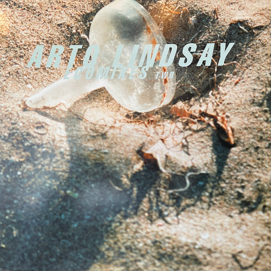 Arto Lindsay – Ecomixes Two