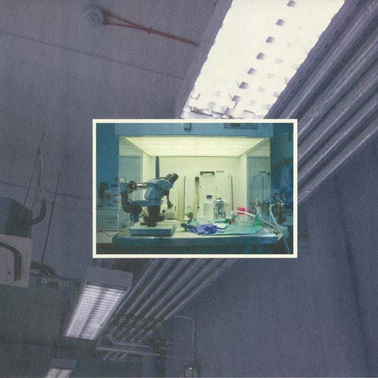Metrist – Spoils