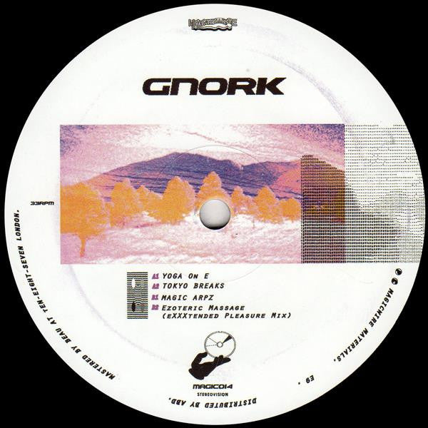 Gnork ‎– Magic Arp