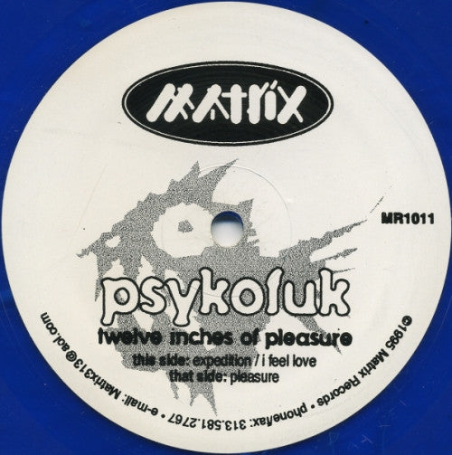 Psykofuk – Twelve Inches Of Pleasure