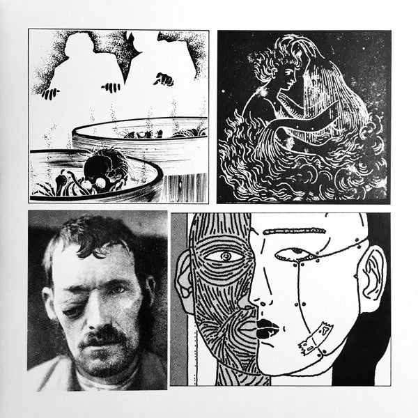 Pavel Milyakov – La Maison De La Mort