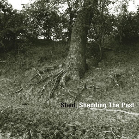 Shed ‎– Shedding The Past