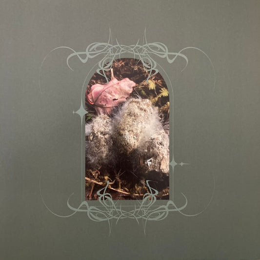 Ben Bondy – Glans Intercum