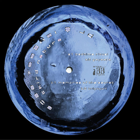 Roza Terenzi & jd – Third Nature