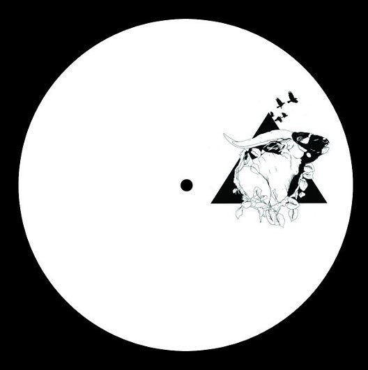 Various ‎– Ohwl#Seven