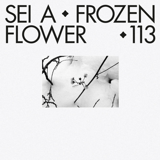 Sei A – Frozen Flower