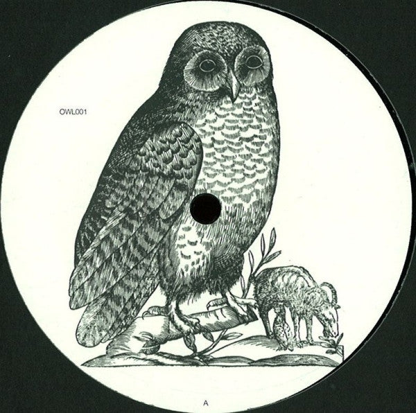 Owl – OWL001