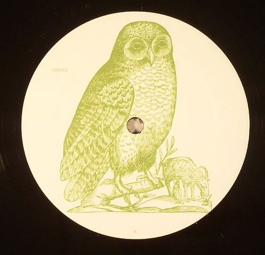 Unknown Artist – Untitled