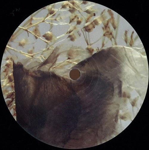 Culture Hub – Insula EP
