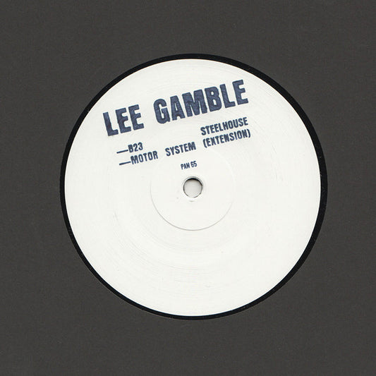 Lee Gamble ‎– B23 Steelhouse