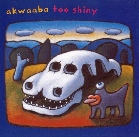 Akwaaba ‎– Too Shiny