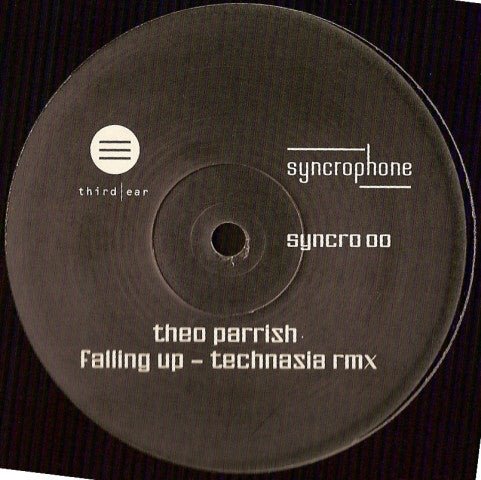 Theo Parrish ‎– Falling Up (Technasia Rmx)