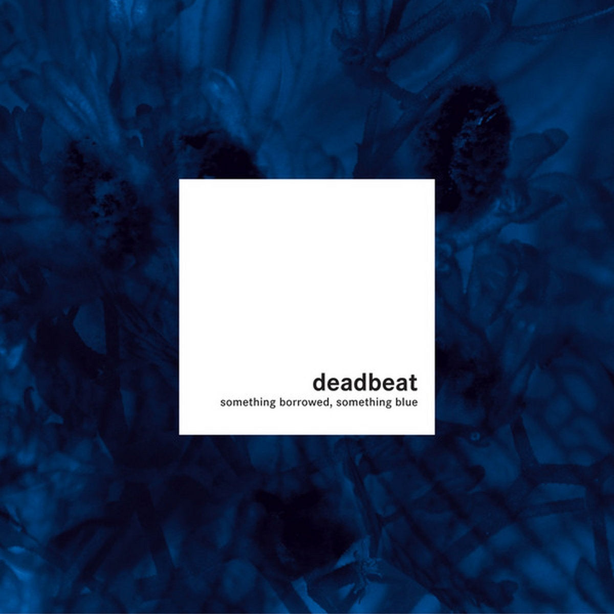 Deadbeat – Something Borrowed, Something Blue