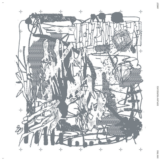 IVM Trio – Explain Yourselves