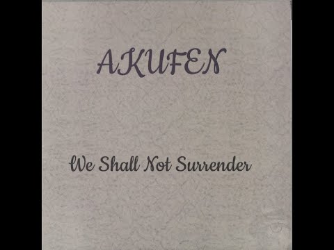 オファー akufen レコード