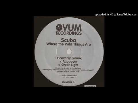 洋楽 UNKLE Soundsystem\"WhereTheWildThingsAre\" UNKLESounds – Where The Wild Things Are – CD (Mixed, Promo