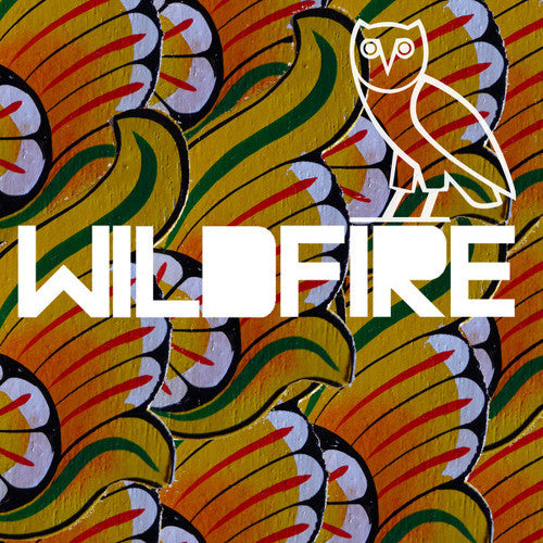 SBTRKT – Wildfire