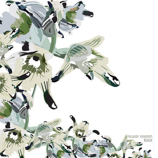 Ricardo Villalobos – Achso